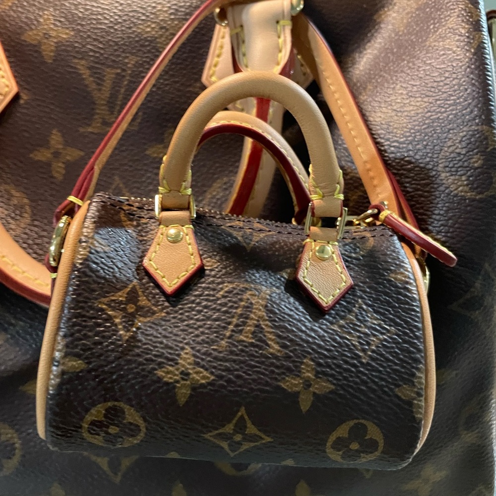 Louis Vuitton Speedy 2022 Charm bag